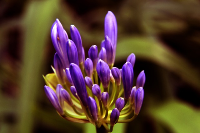 治复杂的局 治复杂的局