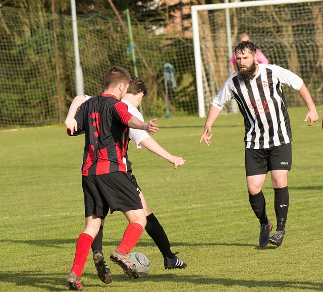 过大举反扑 过大举反扑