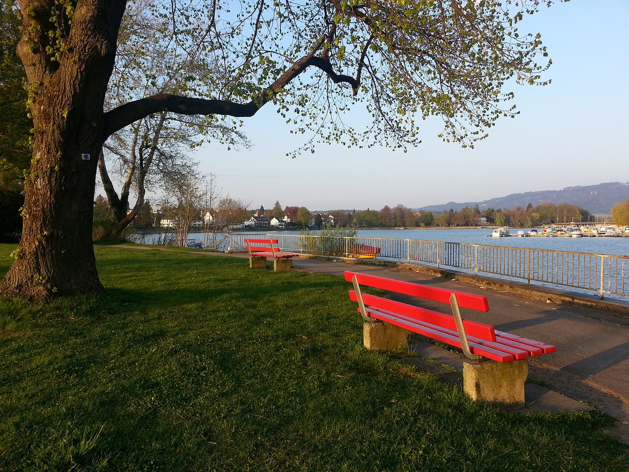 耀之路的关 耀之路的关